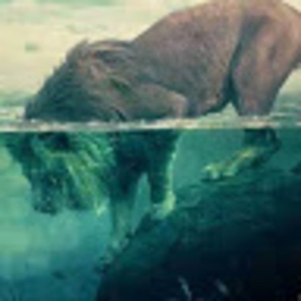 Meet your Posher, Jerrylin